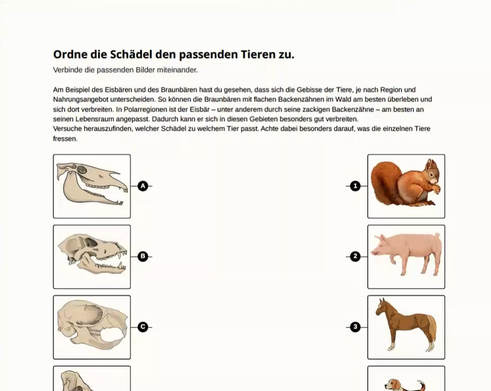 Beispiel eines Arbeitsblattes